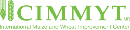 CIMMYT logosu